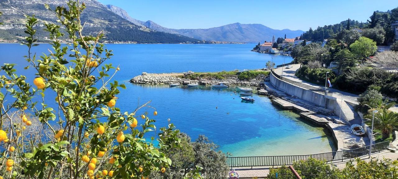 Villa Leda Medvinjak Esterno foto