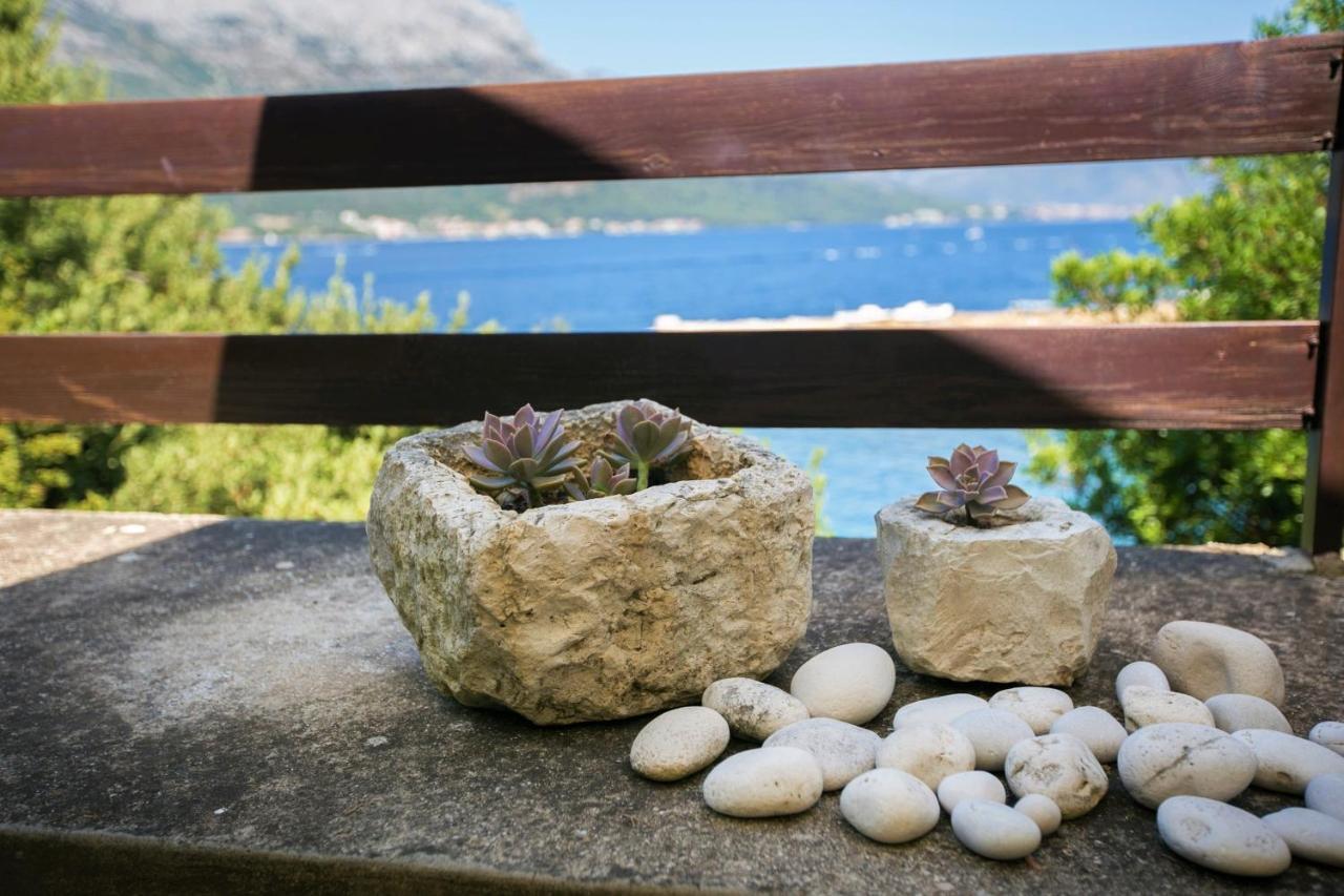Villa Leda Medvinjak Esterno foto